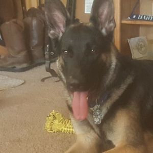 Meet your Posher, Robbie